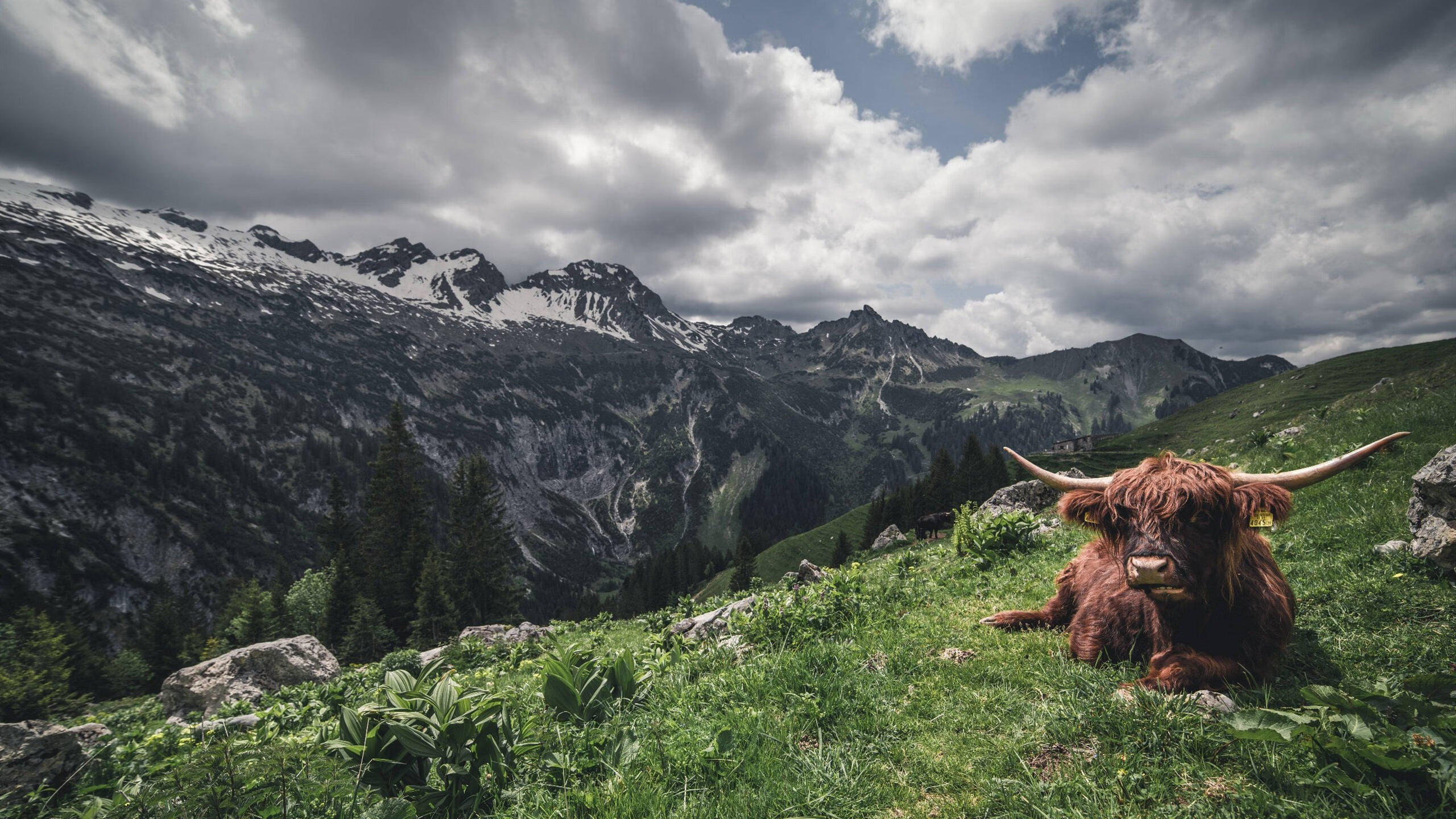 kaiyun网站-巴萨再负争冠形势堪忧，巴萨再负争冠形势堪忧吗